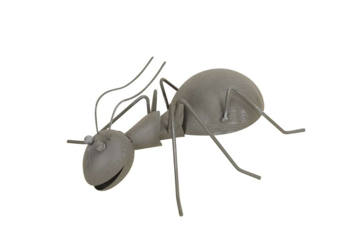 Myre, grå